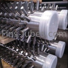 TP316 أنابيب مغلفة