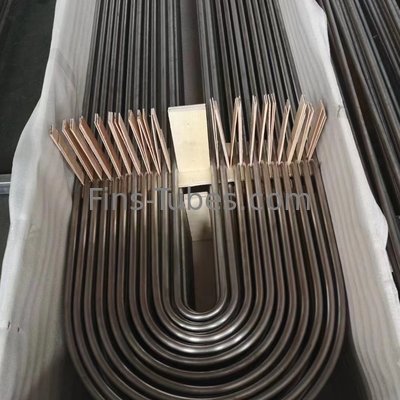 DELLOK بدون خيوط معالجة U Bend Tube Bundle تبادل الحرارة A179 الأنابيب